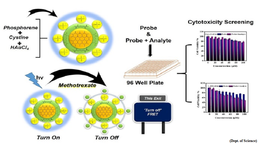 New highly fluorescent material for detection of Methotrexate (GS Paper 3, Science and Technology)