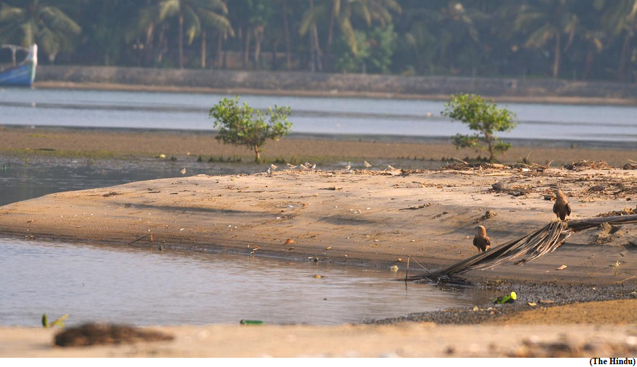 Kadalundi shrinking mudflat ecosystem keeps birds away (GS Paper 3, Environment)
