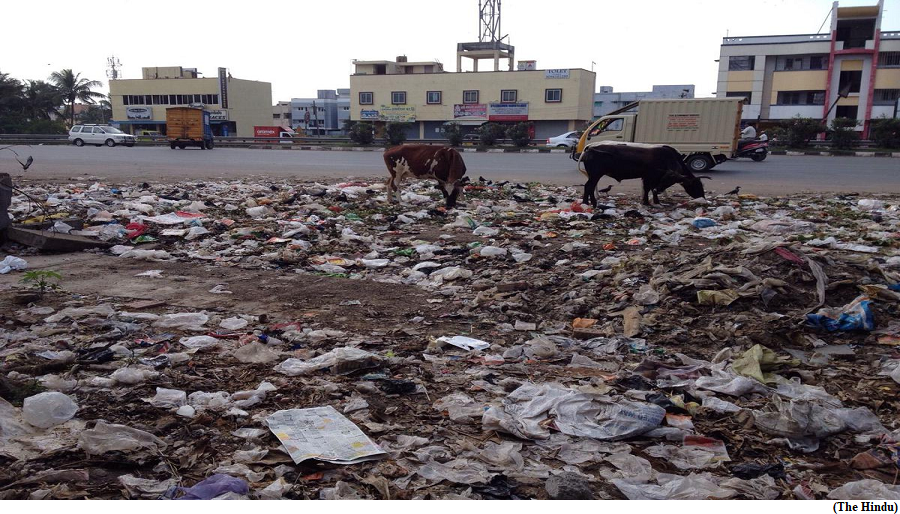Stray dogs and poor waste management (GS Paper 2, Governance)