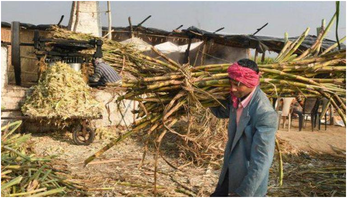 IIT Guwahati develops method to produce ‘Xylitol’ from sugarcane waste (GS Paper 3, Science and Tech)
