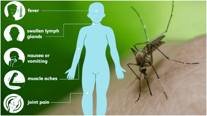 West Nile Virus (GS Paper 3, Science and Tech)