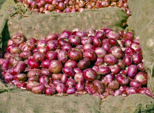 Is ban on onion exports lifted?  (GS Paper 2, Polity & Governance)