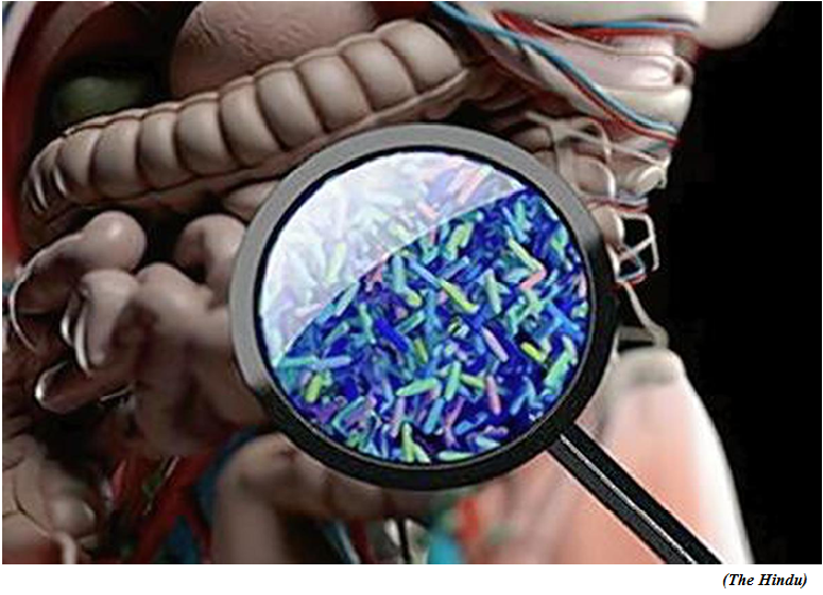 The microbiome link to autism disorders (GS Paper 2, Health)