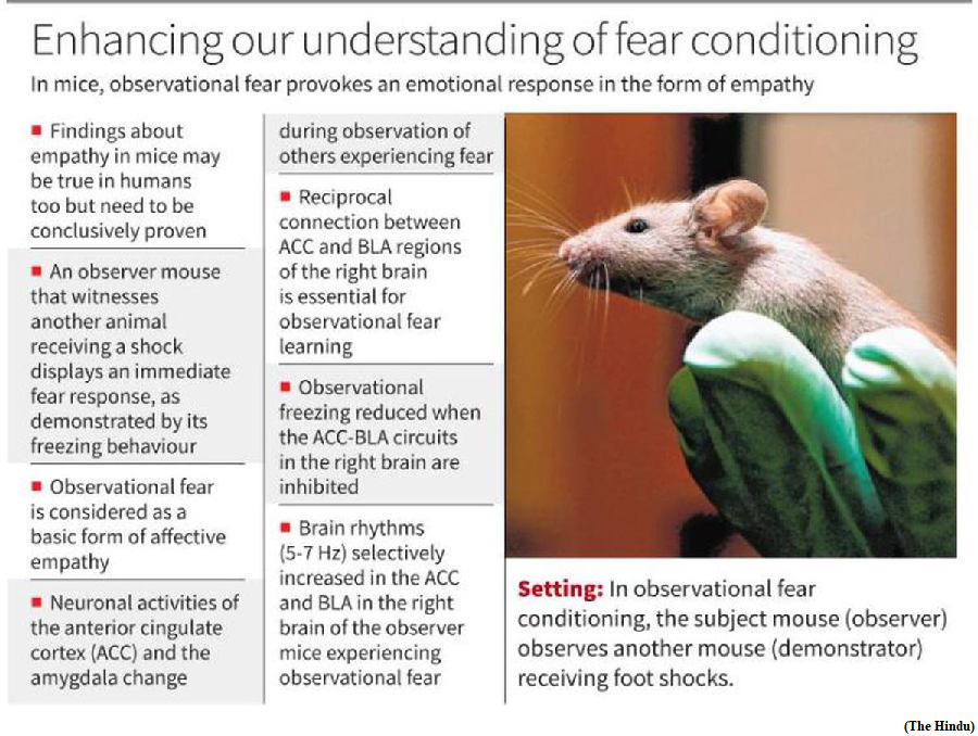 Studies in mice reveal neural mechanism of fear conditioning (GS Paper 2, Health)