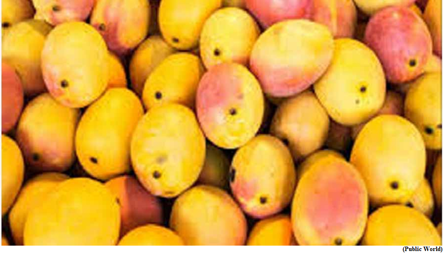 Indian mangoes shipment expands its footprints (GS Paper 3, Economy)