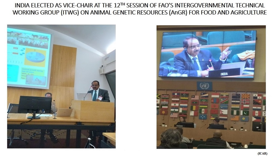 India elected as Vice-Chair at the 12th session of FAO’s Intergovernmental Technical Working Group (ITWG) on Animal Genetic Resources (AnGR) for Food and Agriculture (GS Paper 2, International Organisation)