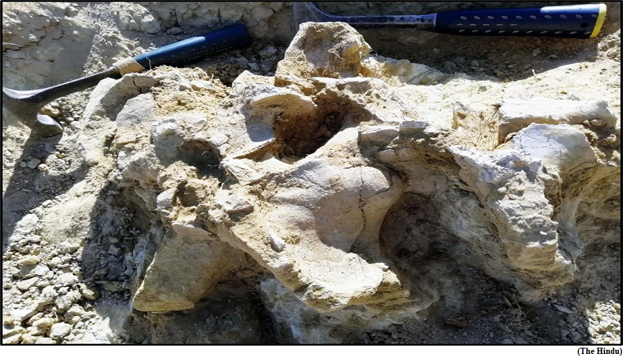 Oldest yet fossils of a plant-eating dinosaur found in Rajasthan (GS Paper 3, Science and Technology)
