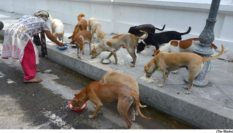 Stray dog population control is dogged by bad science (GS Paper 3, Science and Technology)