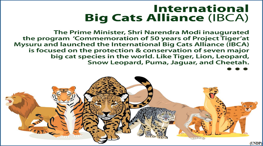 International Big Cat Alliance (GS Paper 3, Environment)