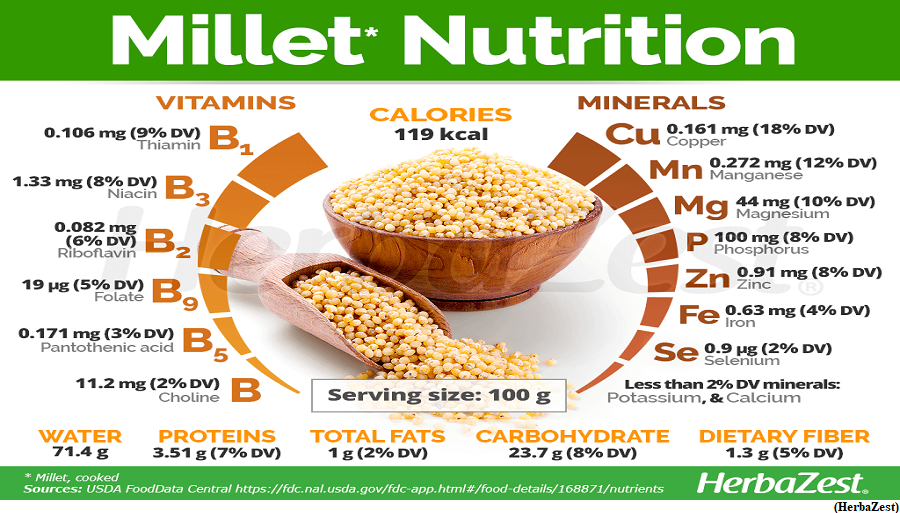 The nutritional value of millets (GS Paper 3, Economy)
