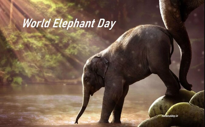 World Elephant Day – 2022 (GS Paper 3, Environment)