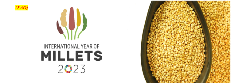International Year of Millets (IYM) 2023 (GS Paper 3, Economy)