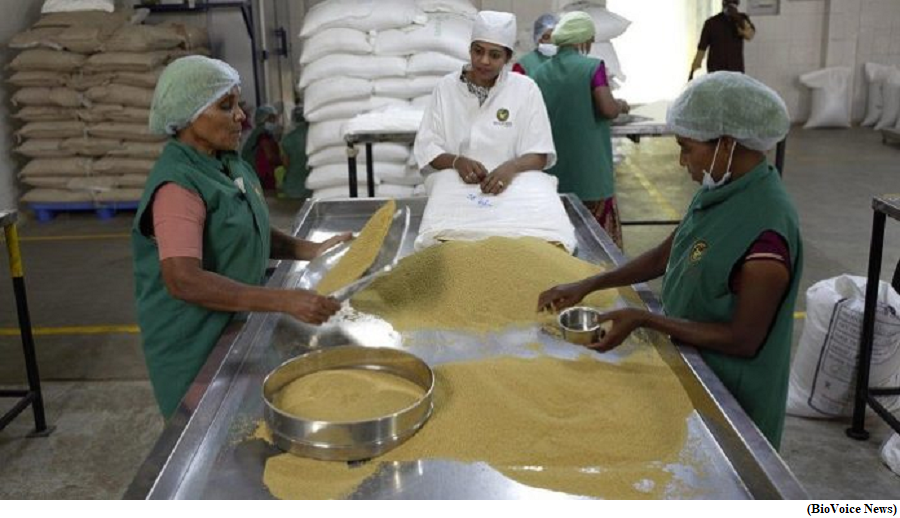 Codex Alimentarius Commission Praises India’s Standards on Millets (GS Paper 3, Economy)